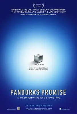 潘多拉的承诺